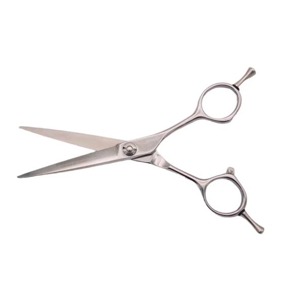 Bob Dragon Edition Scissor - 5.5inch