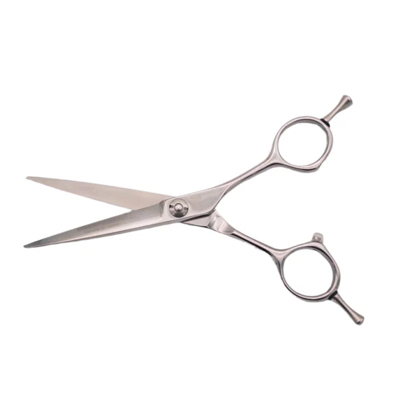Bob Dragon Edition Scissor - 6inch